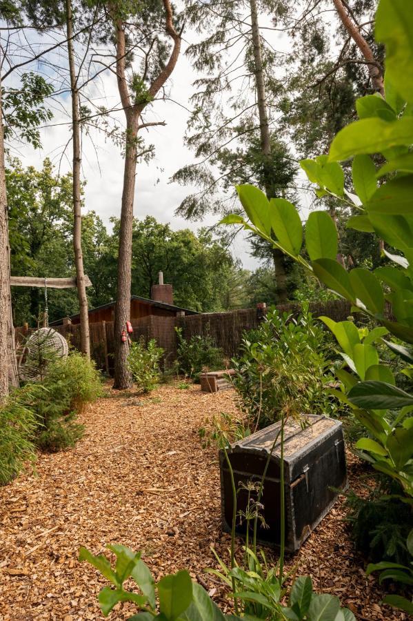 Zen-Bungalow No 4 Met Sauna En Hottub Rheezerveen Luaran gambar